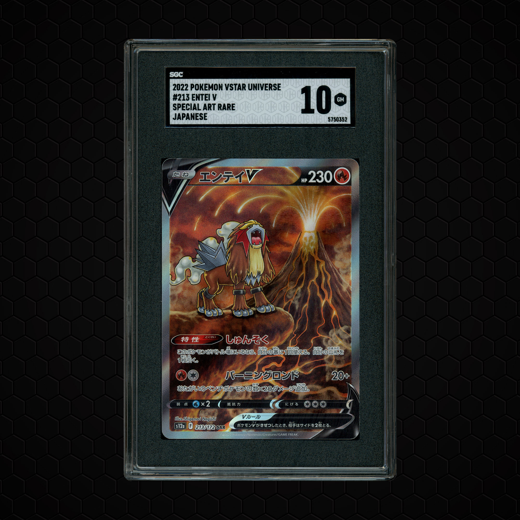 2022 Japanese VSTAR Universe Entei V #213 SGC 10
