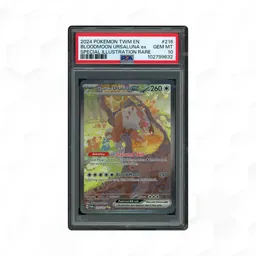 2024 Twilight Masquerade Bloodmoon Ursaluna EX #216 PSA 10