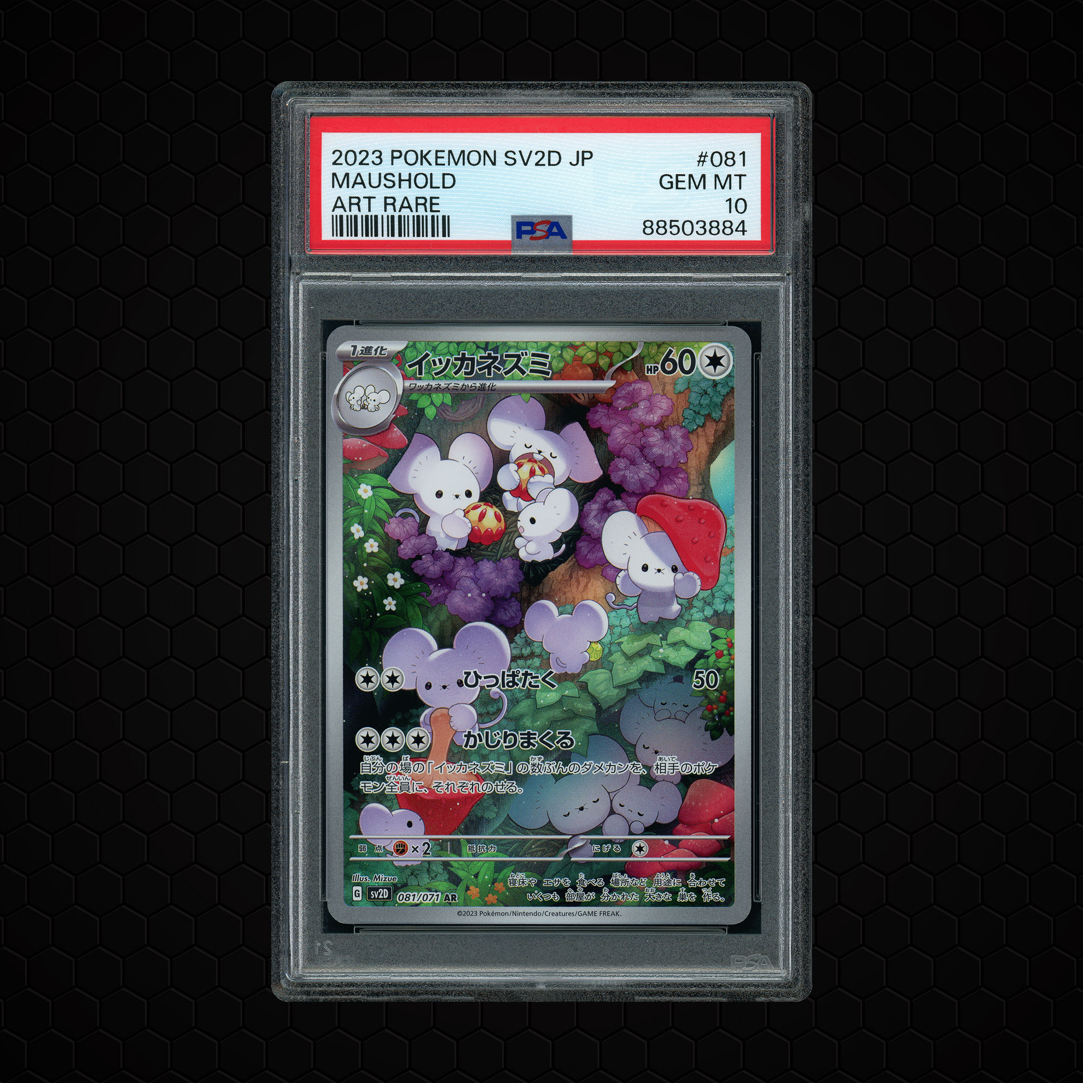 2023 Japanese Clay Burst Maushold #81 PSA 10