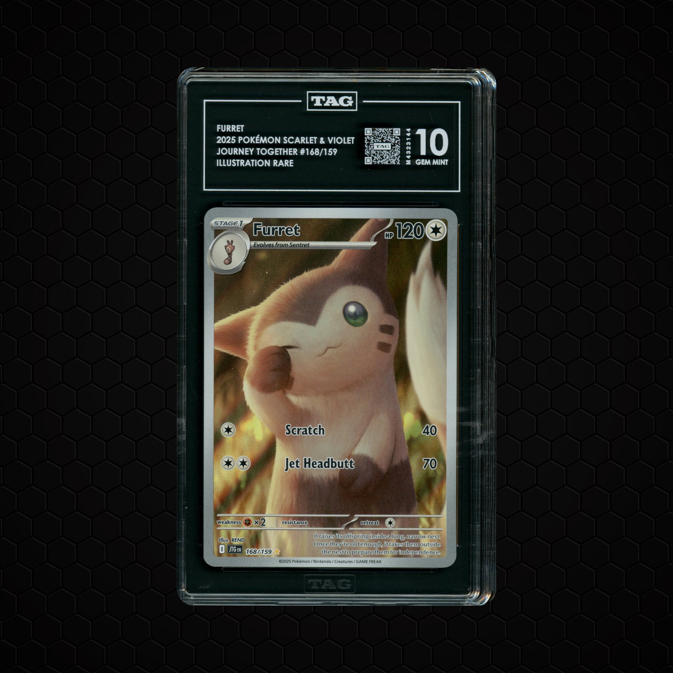 2025 Journey Together Furret #168 TAG 10