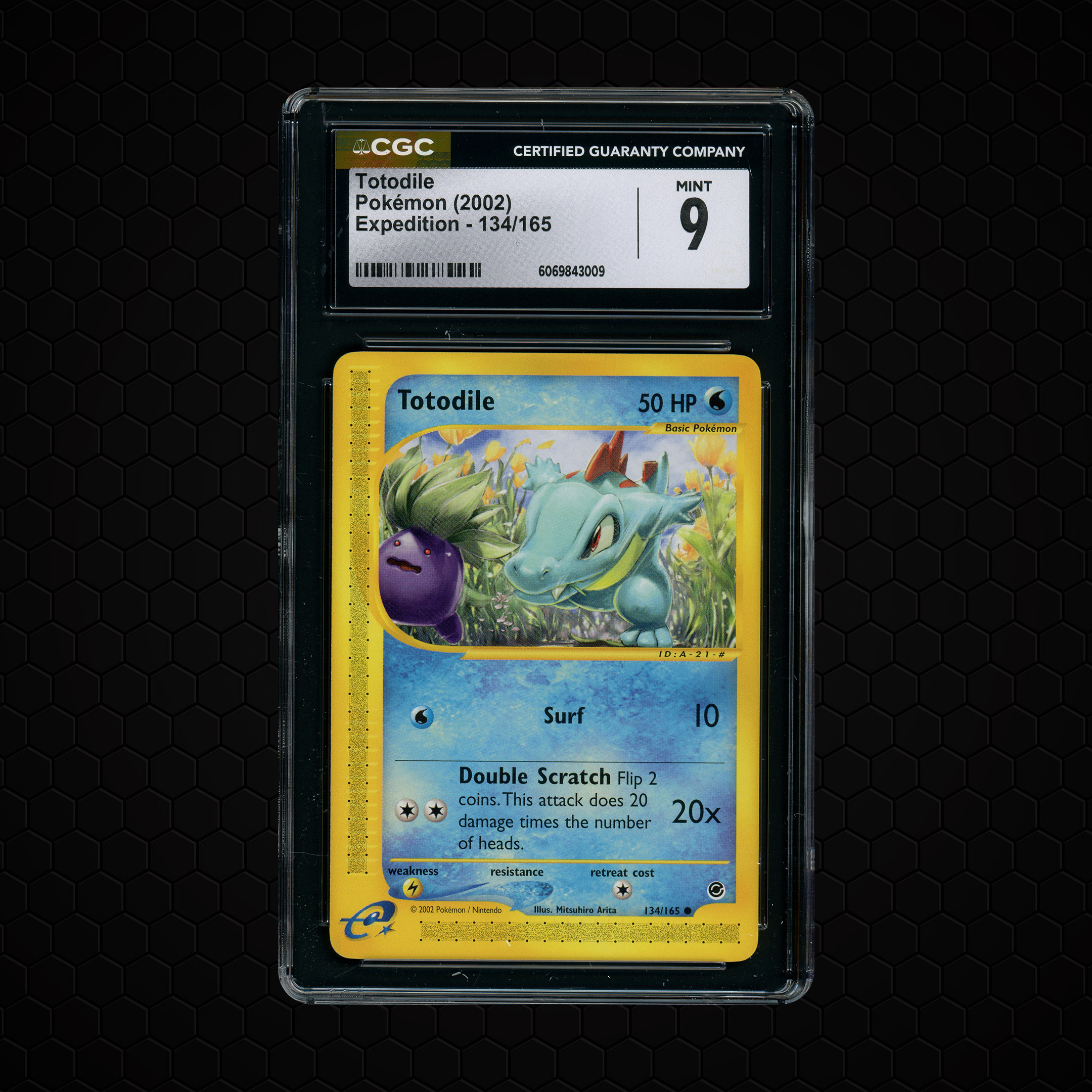 2002 Expedition Totodile #134 CGC 9