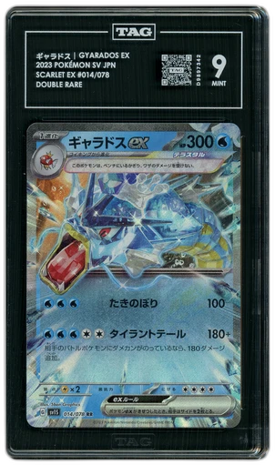 2005 Japanese Mirage Forest Gold Star 1st Edition Regice #33 PSA 9