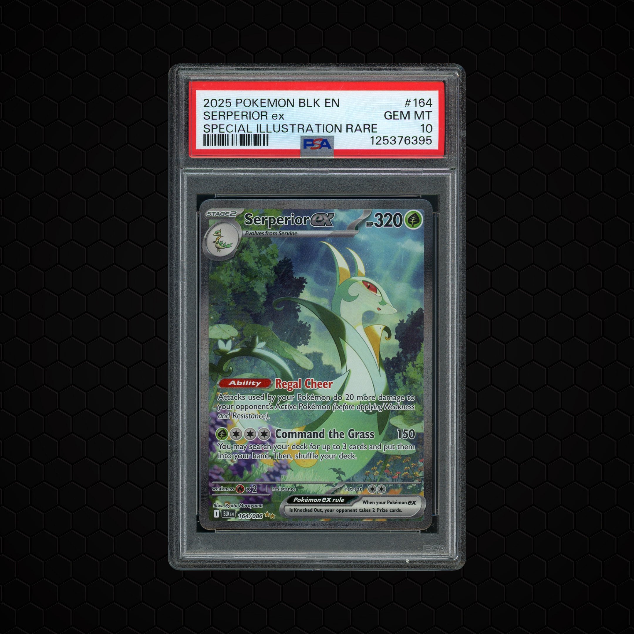 2025 Black Bolt Serperior EX #164 PSA 10