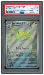 Silver TCG | Beezie