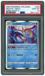 Silver TCG | Beezie