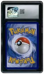 2023 Black Star Promo Lucario VSTAR #SWSH291 CGC 10 on Beezie.