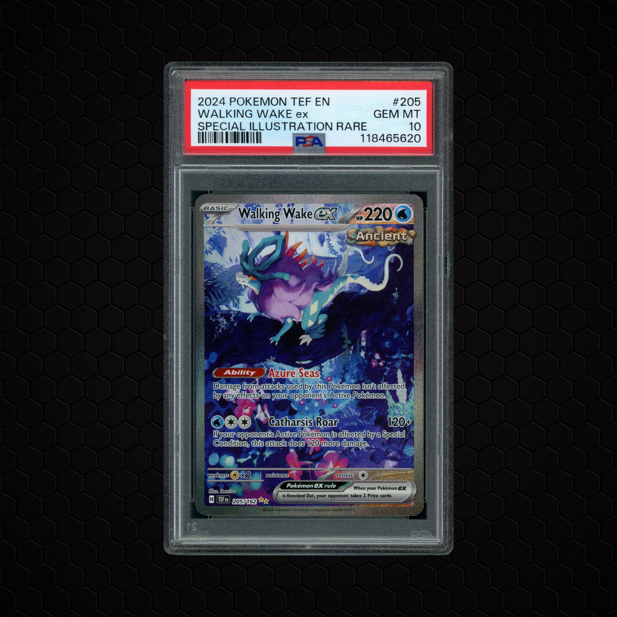 2024 Temporal Forces Walking Wake EX #205 PSA 10