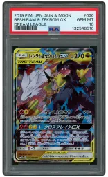 Silver TCG | Beezie