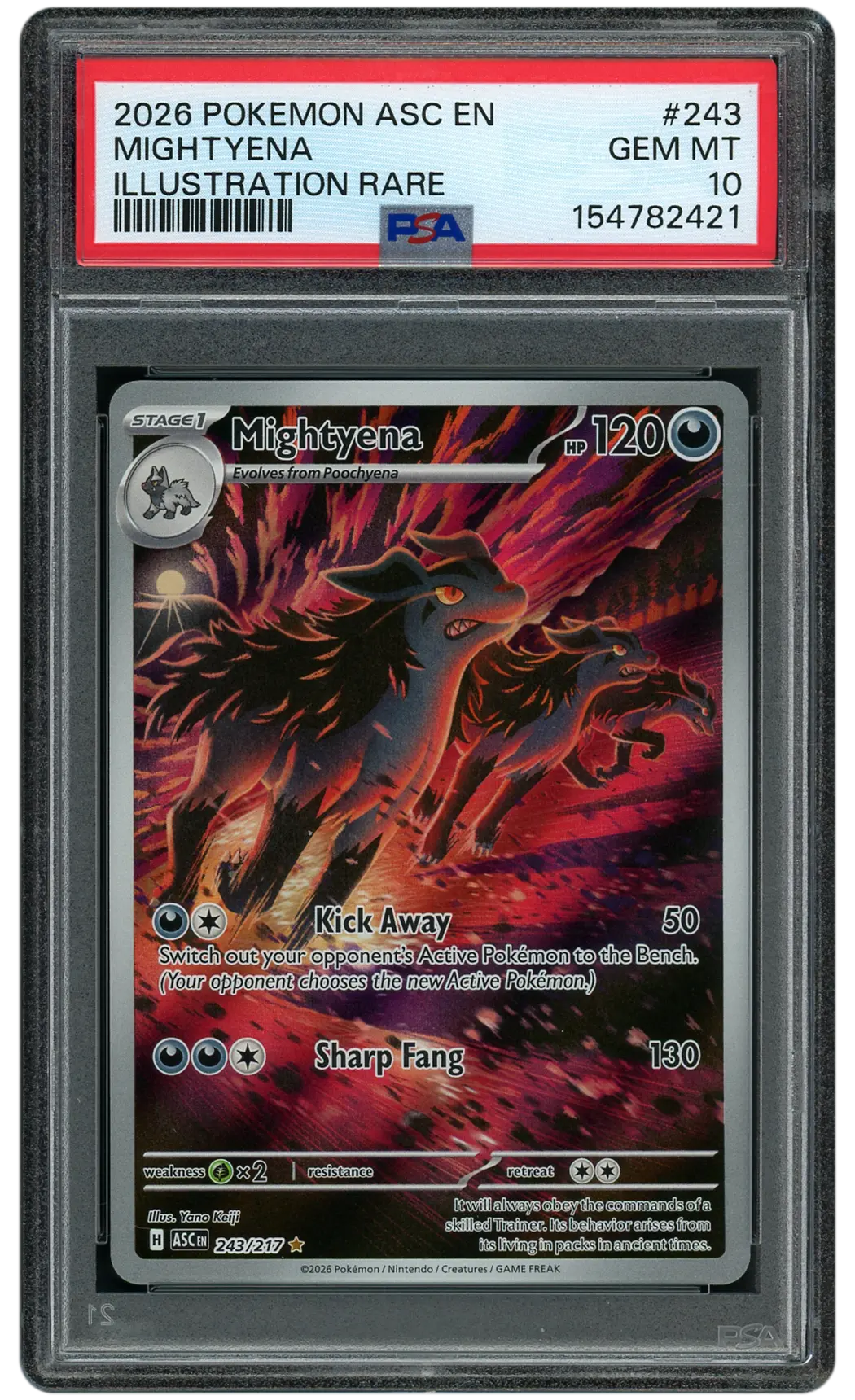 2026 Ascended Heroes Mightyena #243 PSA 10