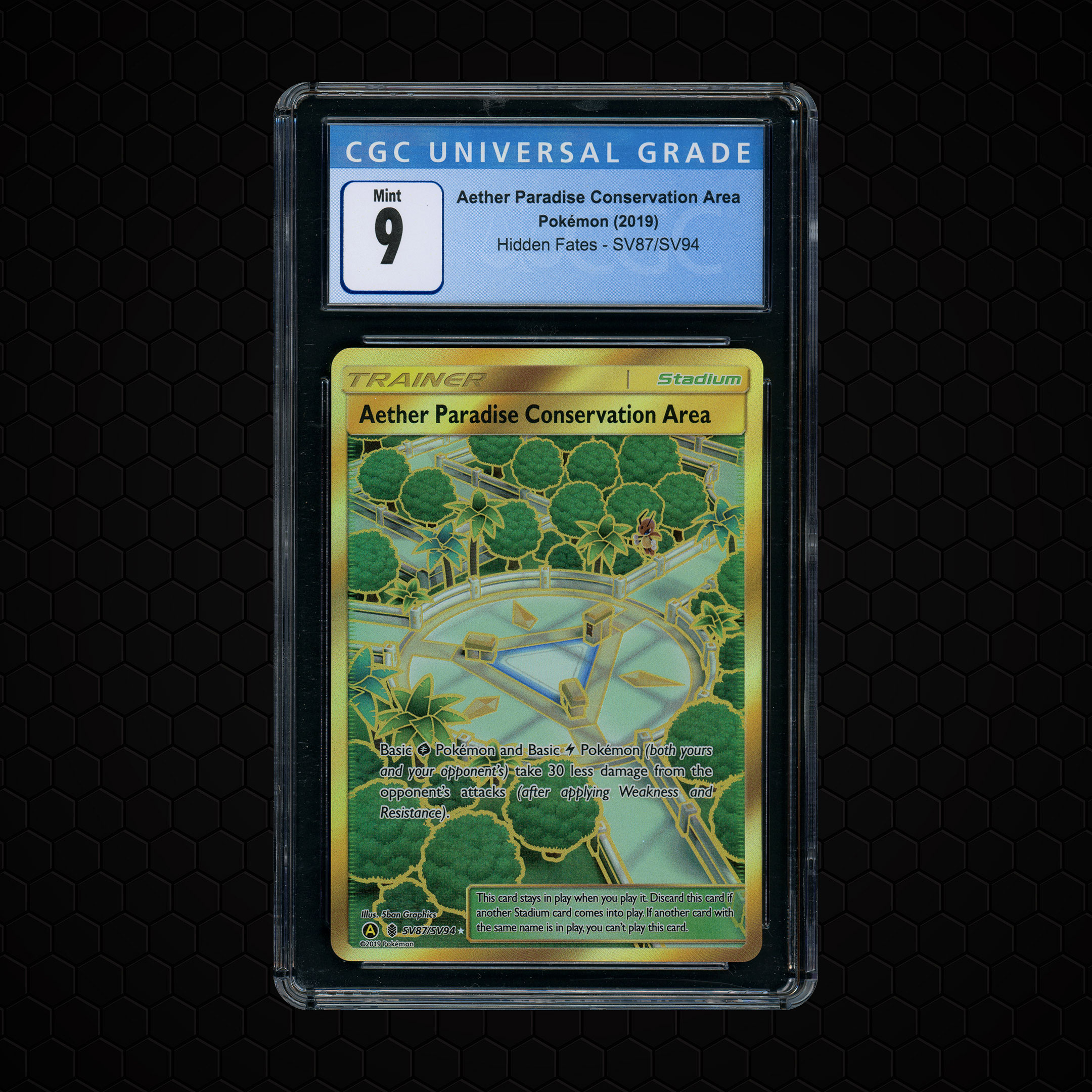 2019 Hidden Fates Aether Paradise Conservation Area #SV87 CGC 9