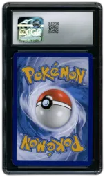 2023 Black Star Promo Lucario VSTAR #SWSH291 CGC 10 on Beezie.