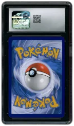 2023 Black Star Promo Lucario VSTAR #SWSH291 CGC 9 on Beezie.