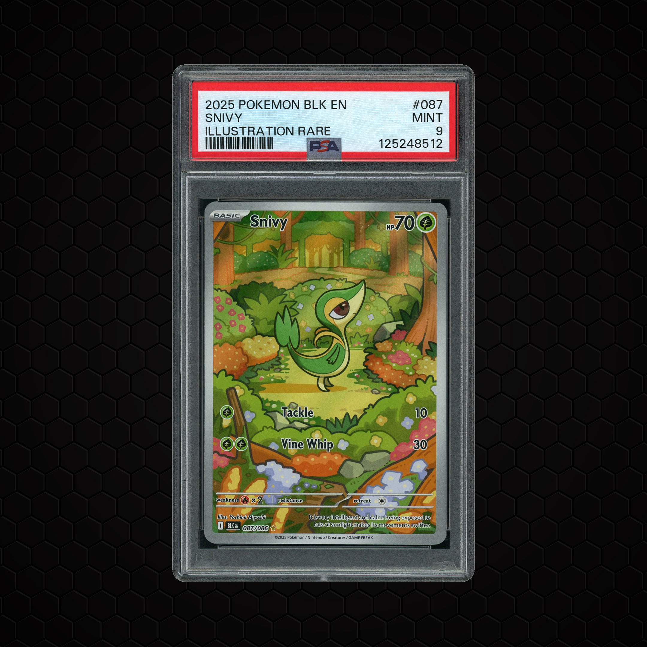 2025 Black Bolt Snivy #87 PSA 9