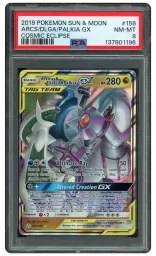 Silver TCG | Beezie