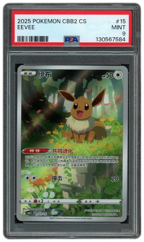 additional images