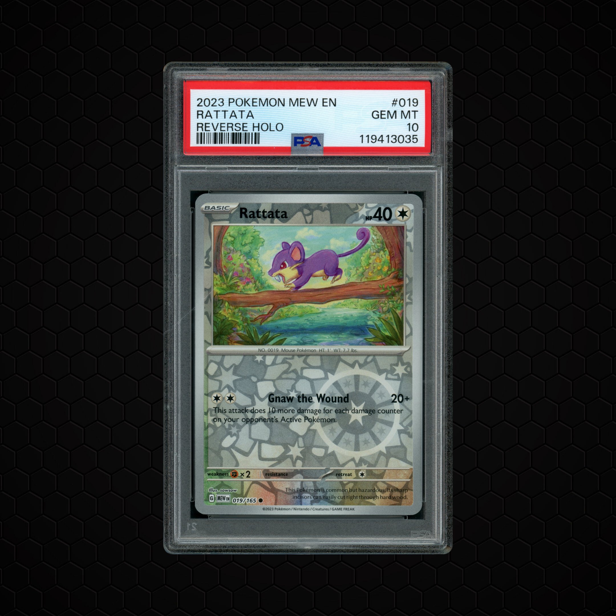 2023 Pokemon 151 Rattata #19 PSA 10