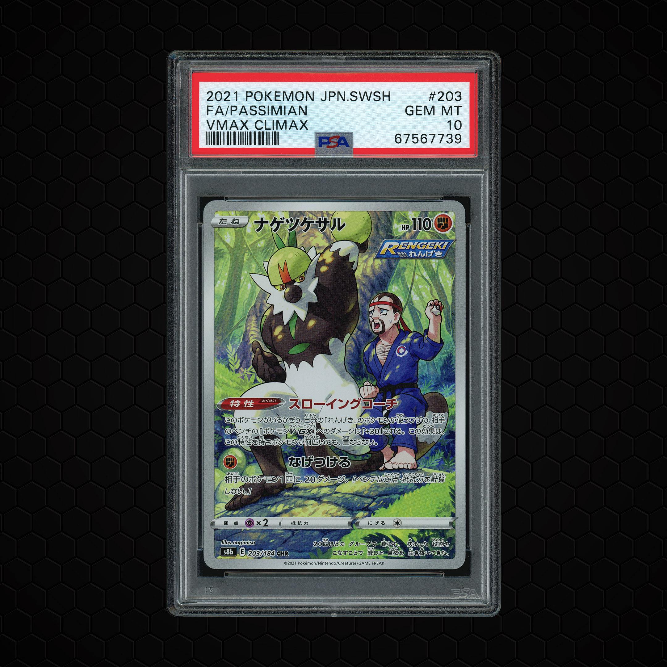 2021 Japanese VMAX Climax Passimian #203 PSA 10
