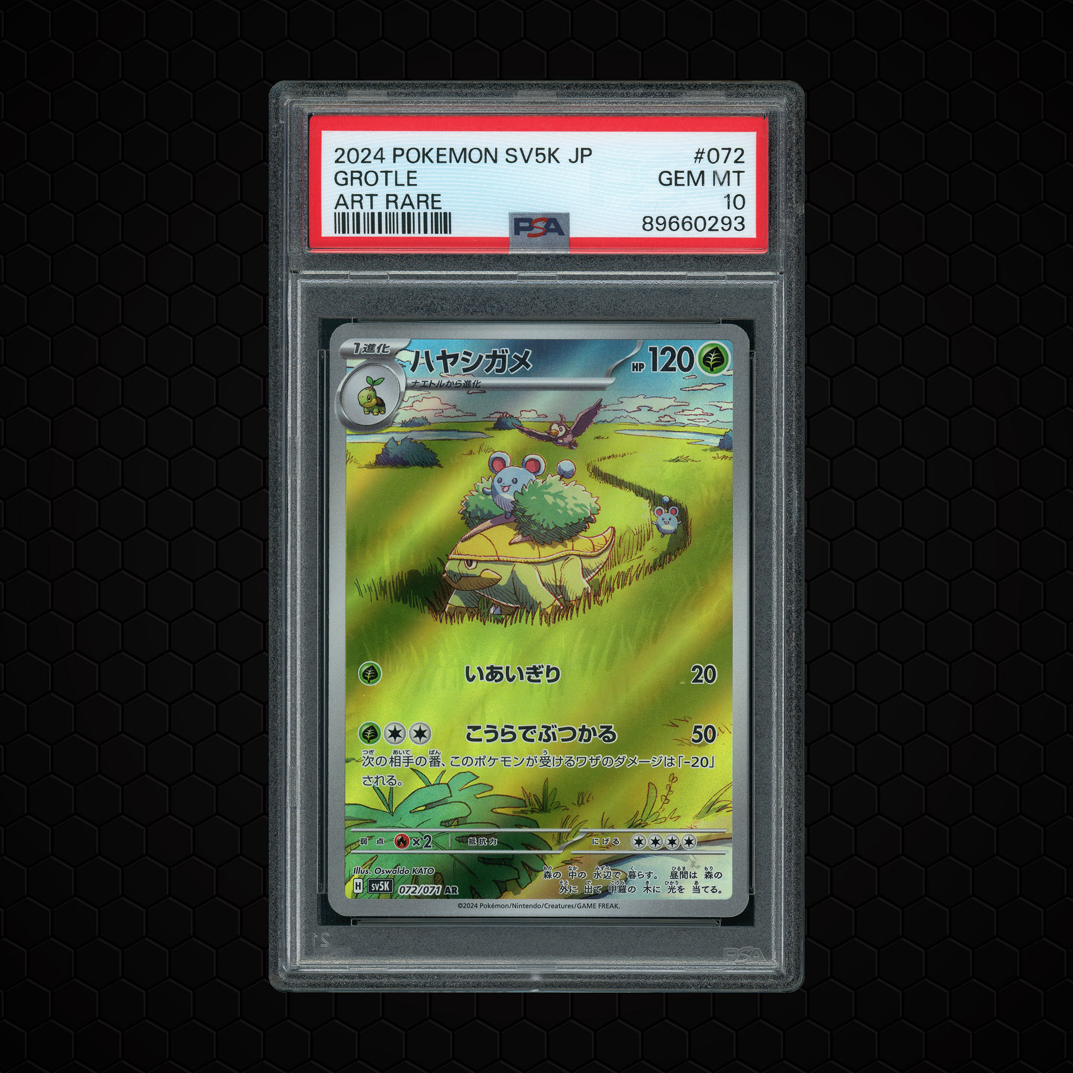 2024 Japanese Wild Force Grotle #72 PSA 10