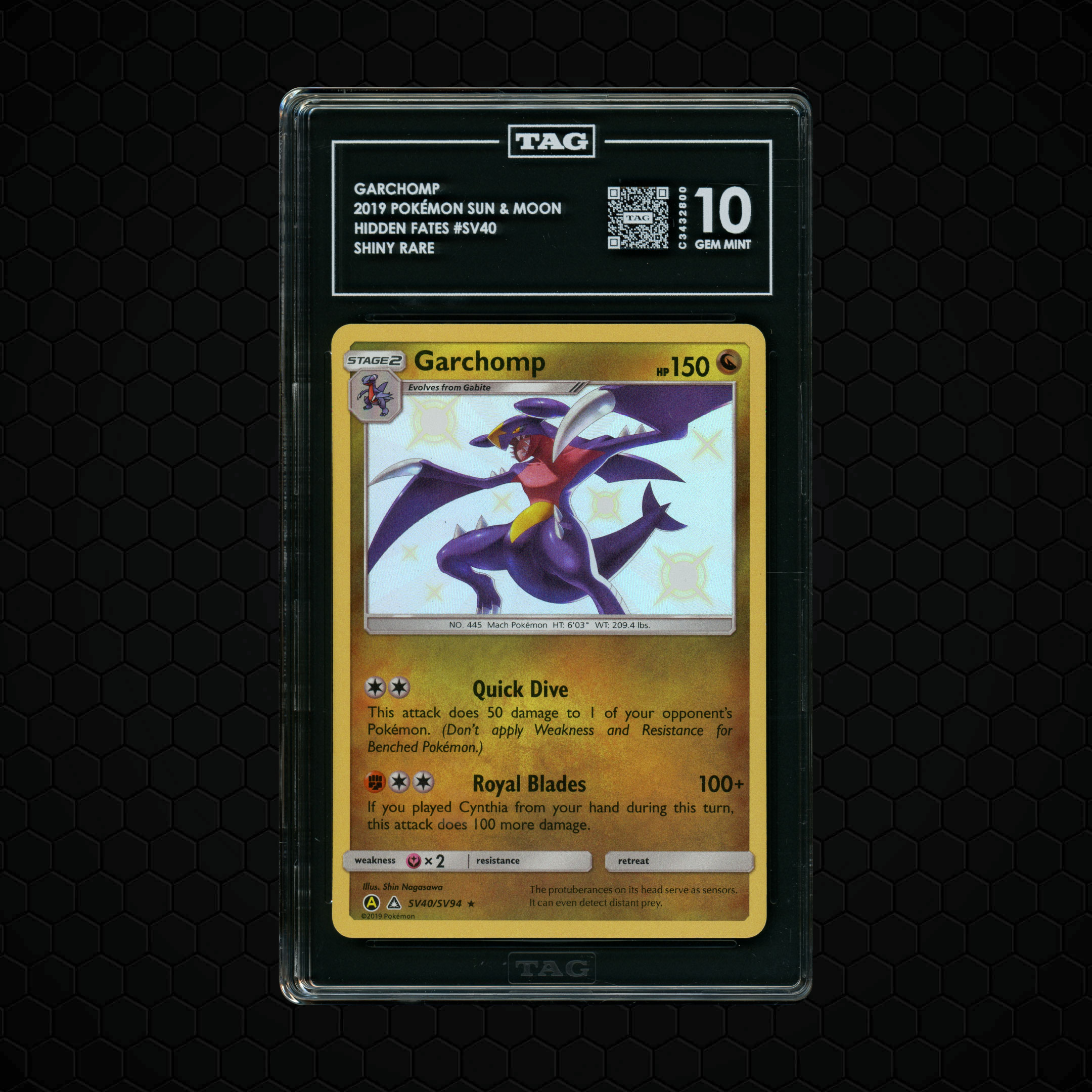 2019 Hidden Fates Garchomp #SV40 TAG 10