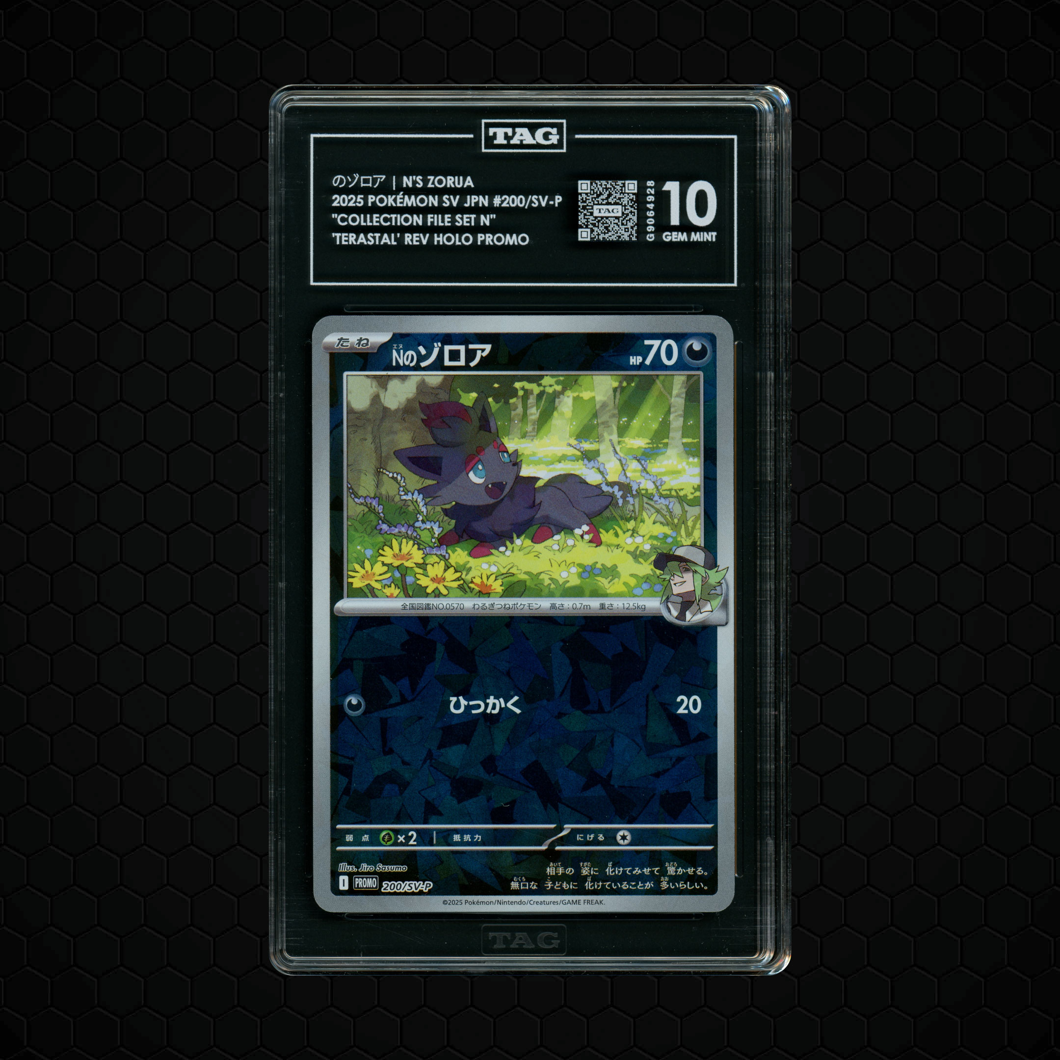 2025 Japanese Collection File Set N N's Zorua #200 TAG 10