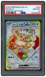 Silver TCG | Beezie