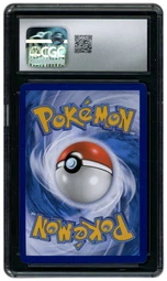 2023 Black Star Promo Lucario VSTAR #SWSH291 CGC 10 on Beezie.