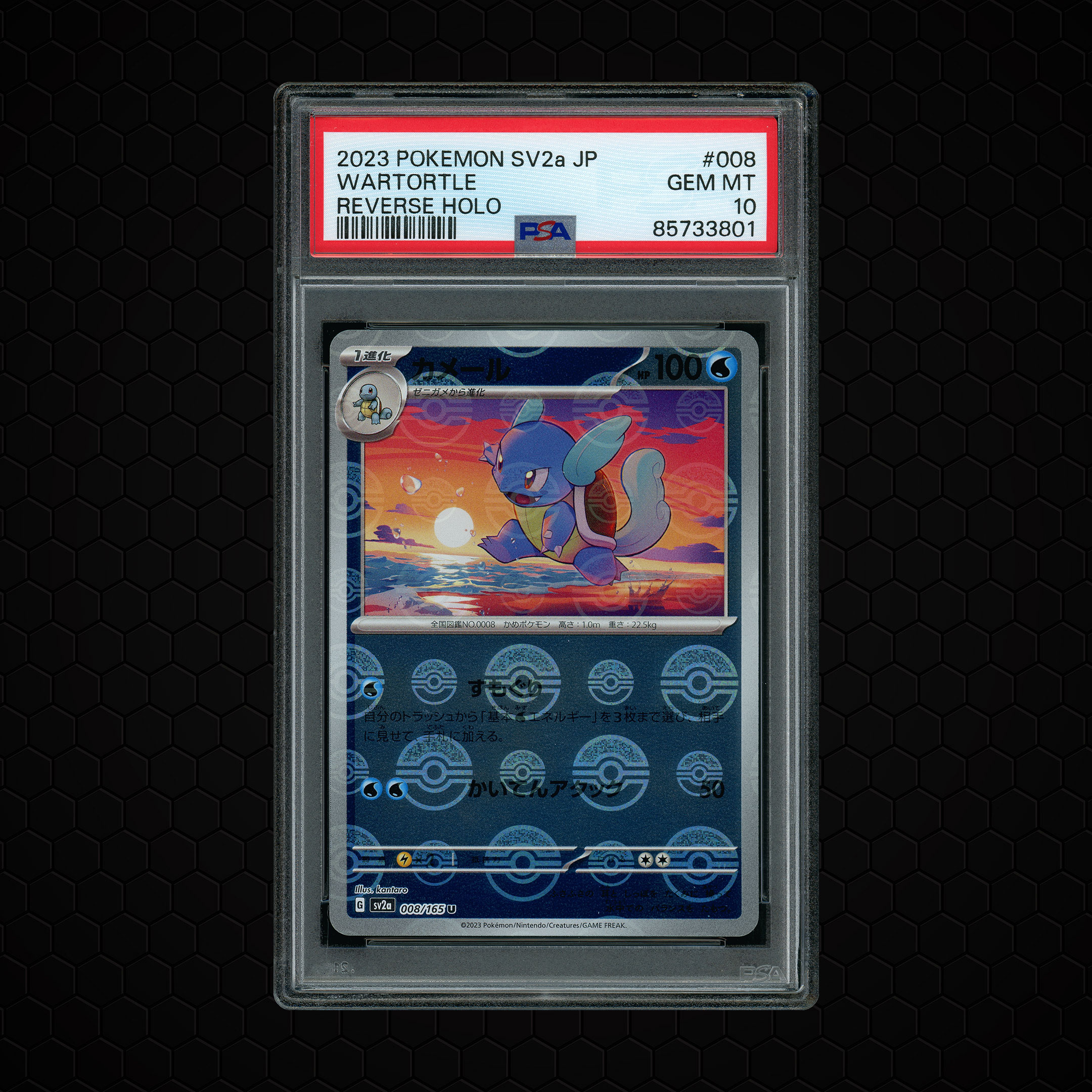 2023 Japanese Pokemon 151 Wartortle #8 PSA 10