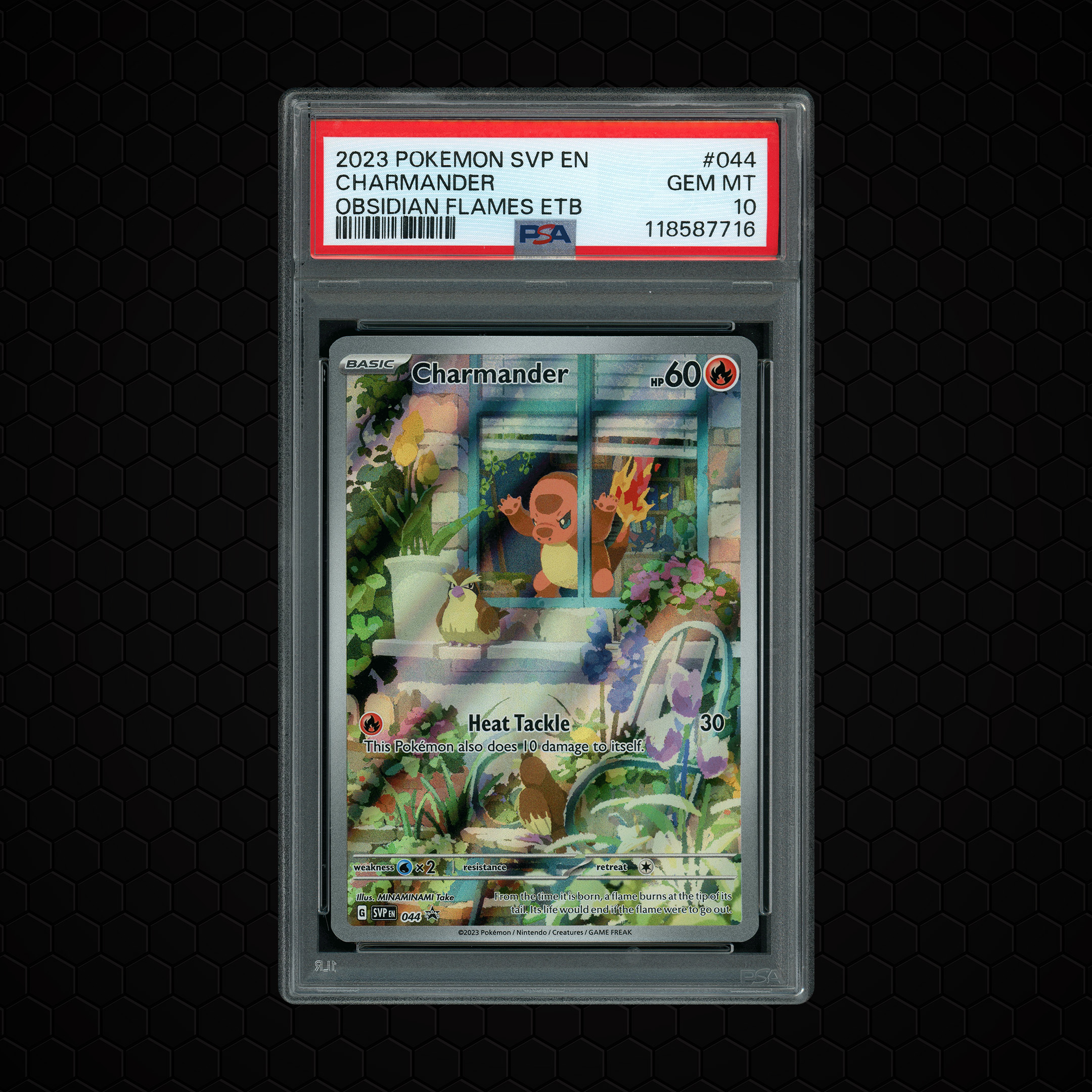 2023 Black Star Promo Charmander #44 PSA 10