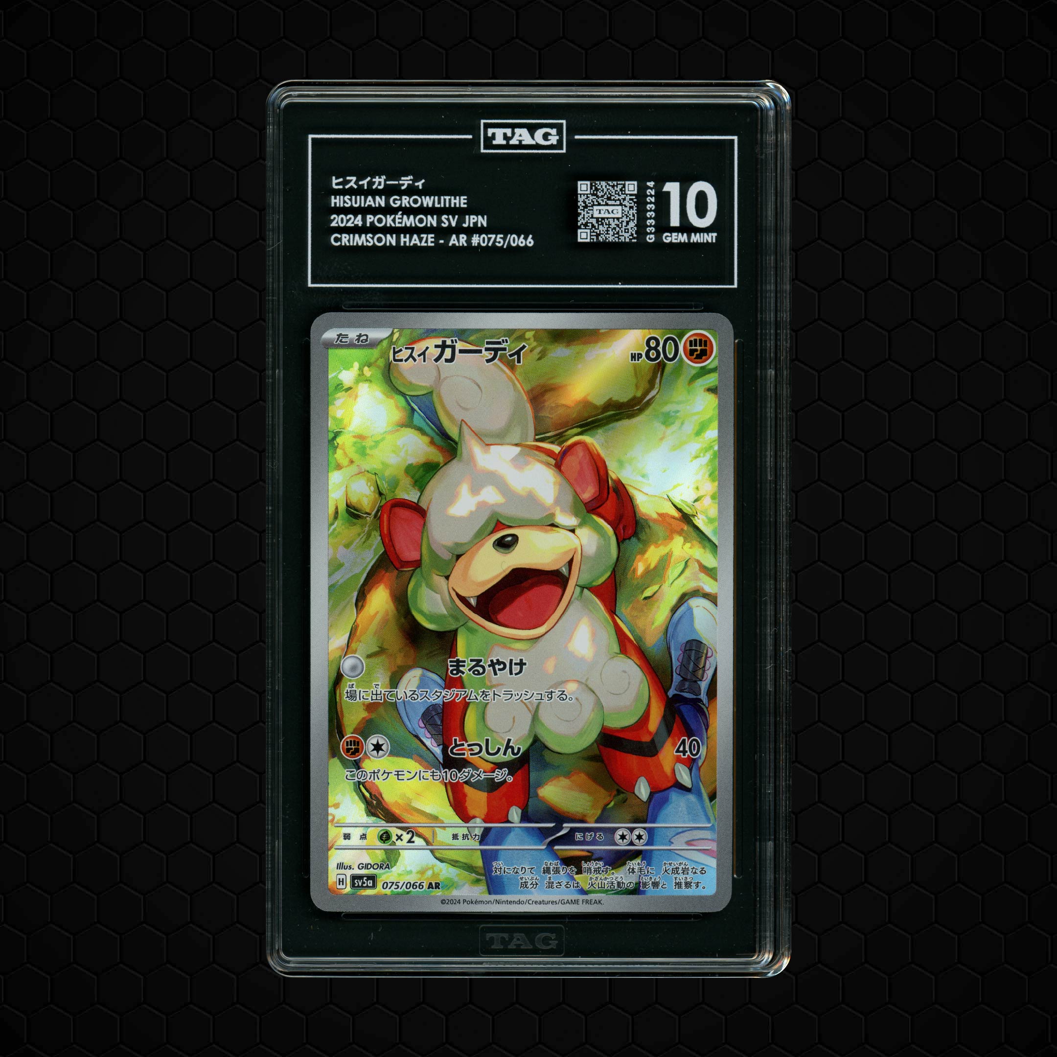 2024 Japanese Crimson Haze Hisuian Growlithe #75 TAG 10