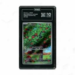 2024 Japanese Crimson Haze Applin #77 TAG 10 on Beezie.