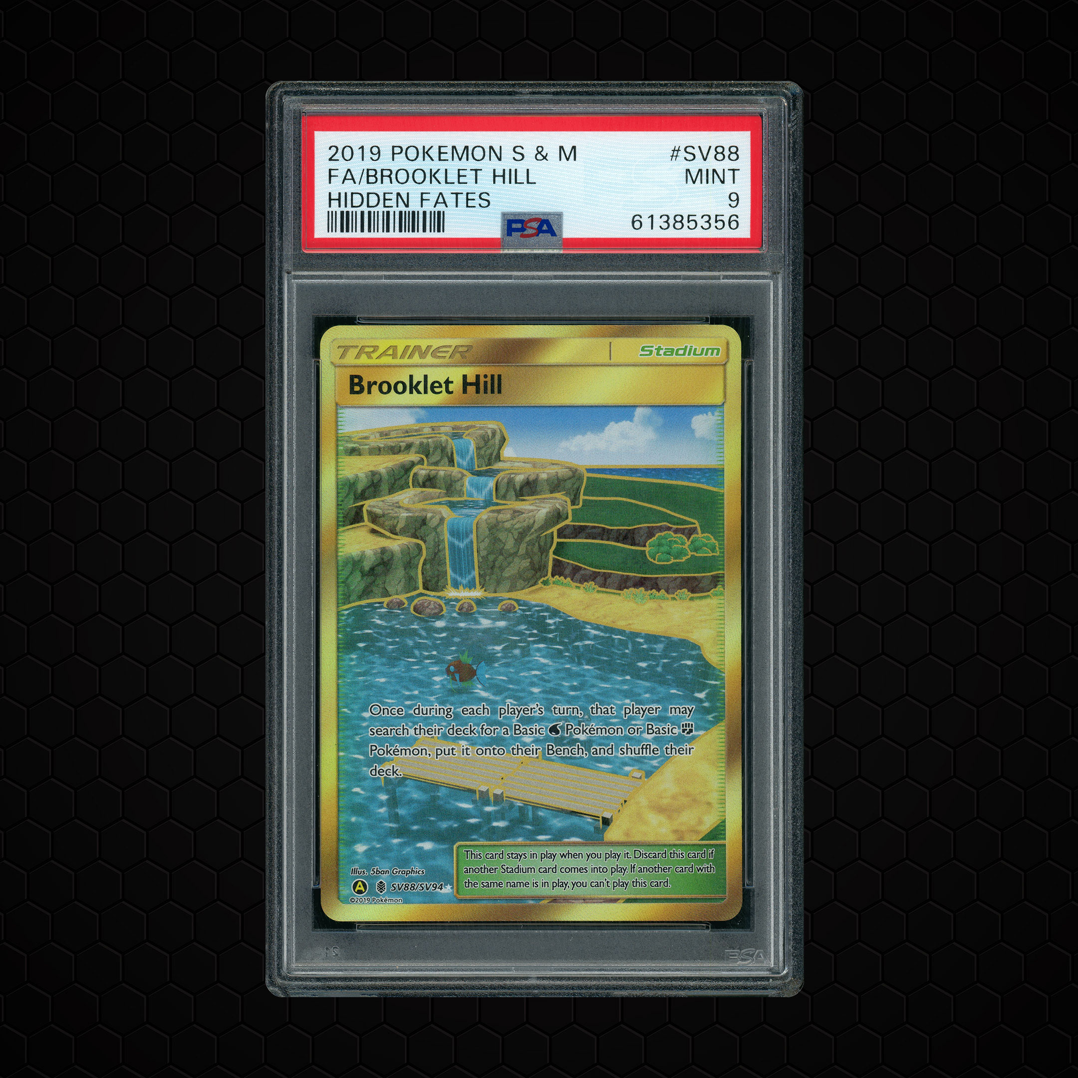 2019 Hidden Fates Brooklet Hill #SV88 PSA 9