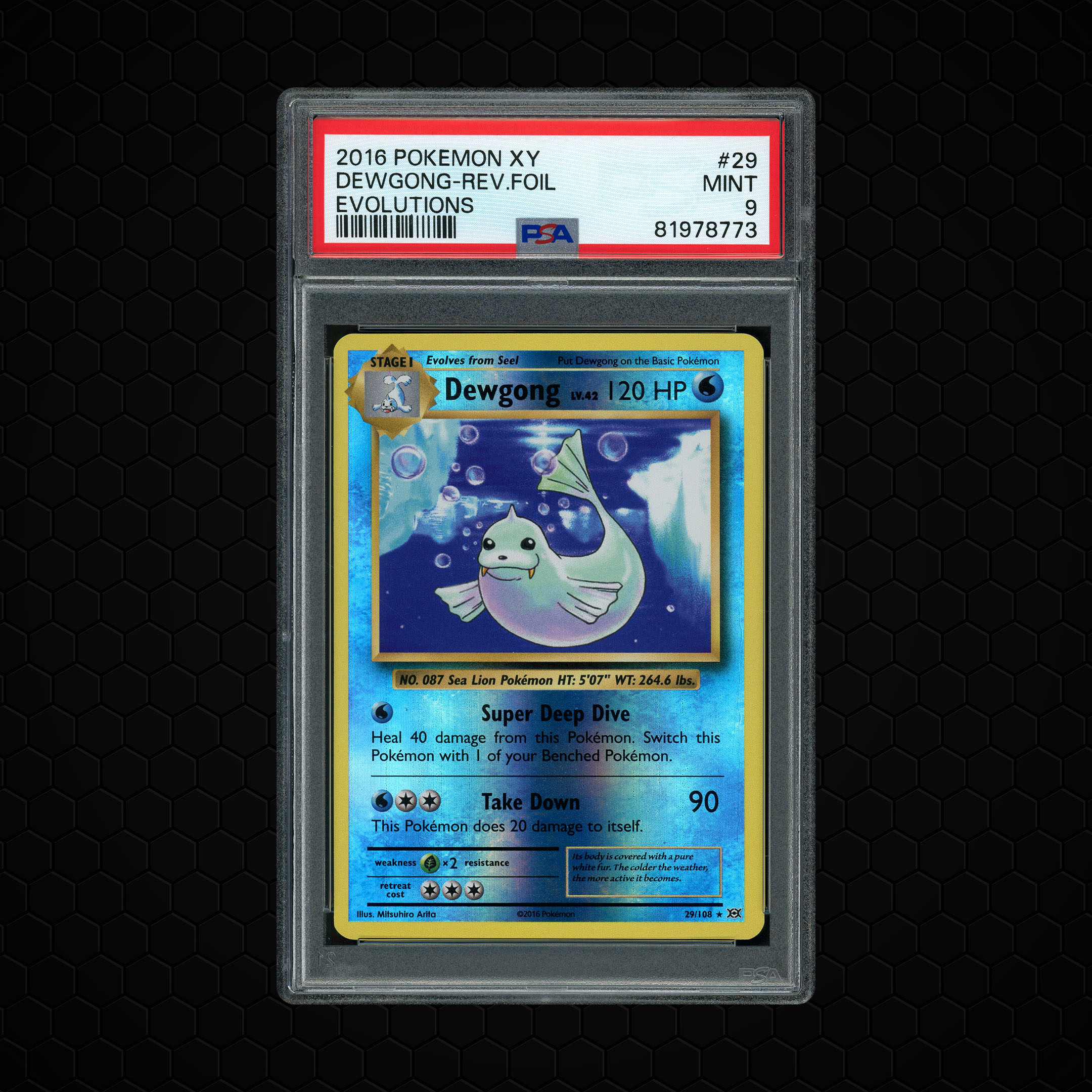 2016 Evolutions Dewgong #29 PSA 9