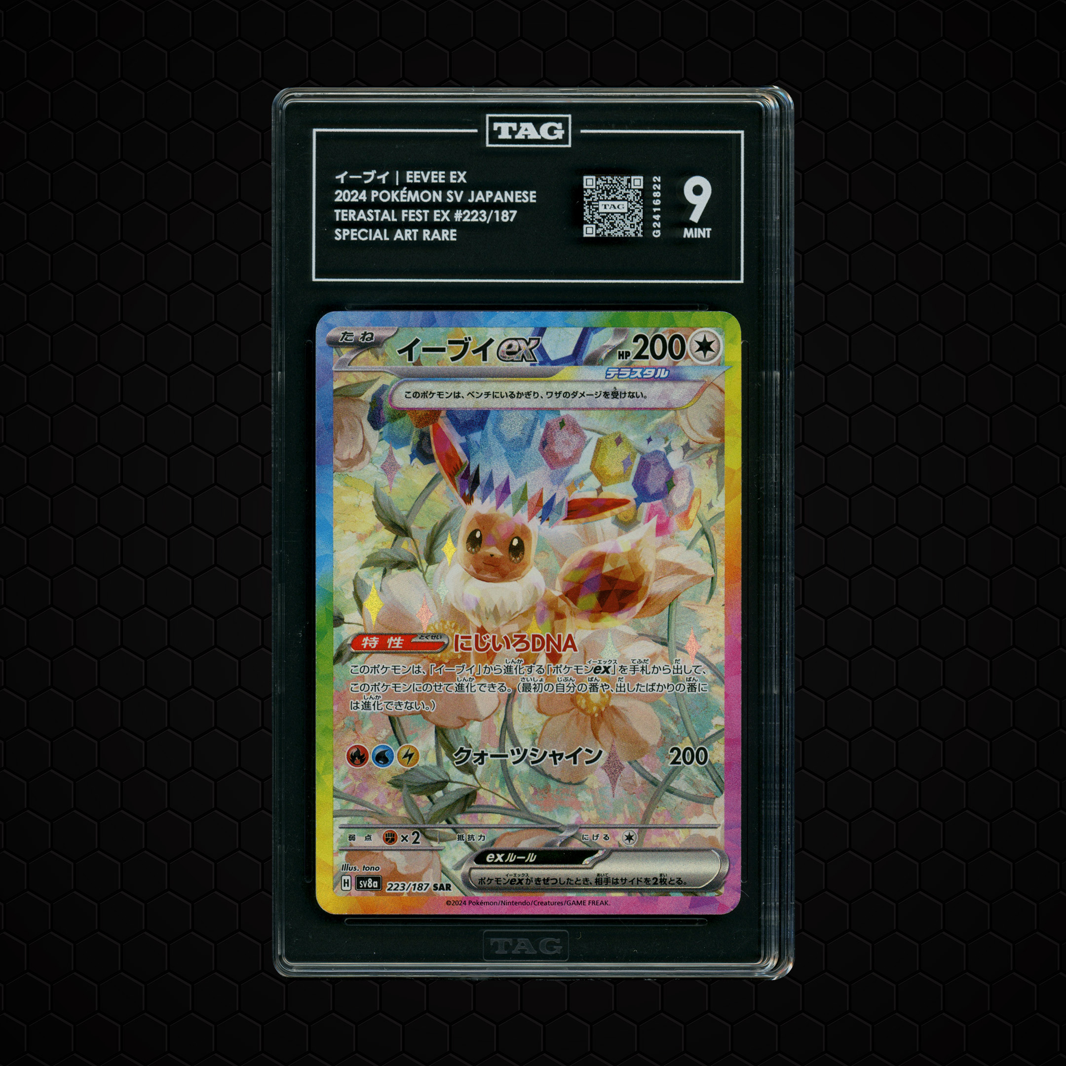 2024 Japanese Terastal Festival ex Eevee EX #223 TAG 9